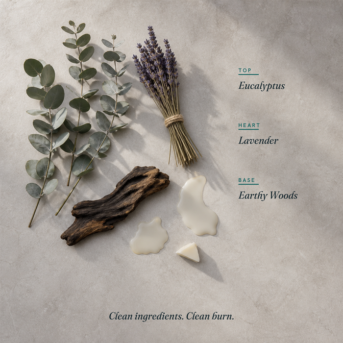Eucalyptus Lavender Herb scent notes
