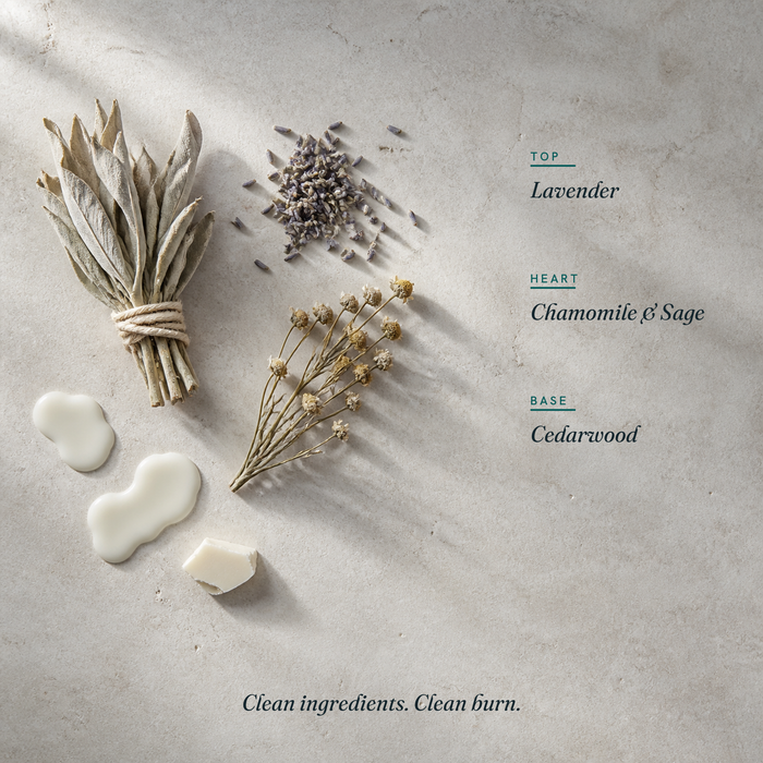 White Sage & Lavender scent notes