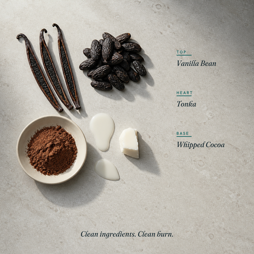 Vanilla Bean scent notes, the complimentary 4 oz mini
