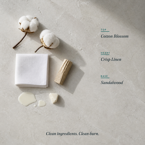 Clean Cotton scent notes
