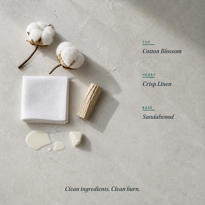 Clean Cotton scent notes