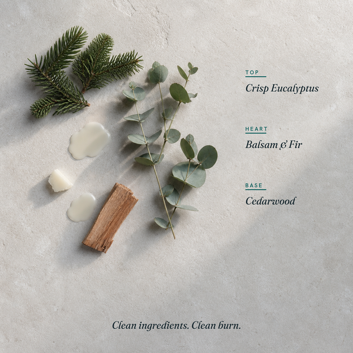 Fresh Balsam scent notes
