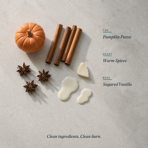 Spiced Pumpkin scent notes
